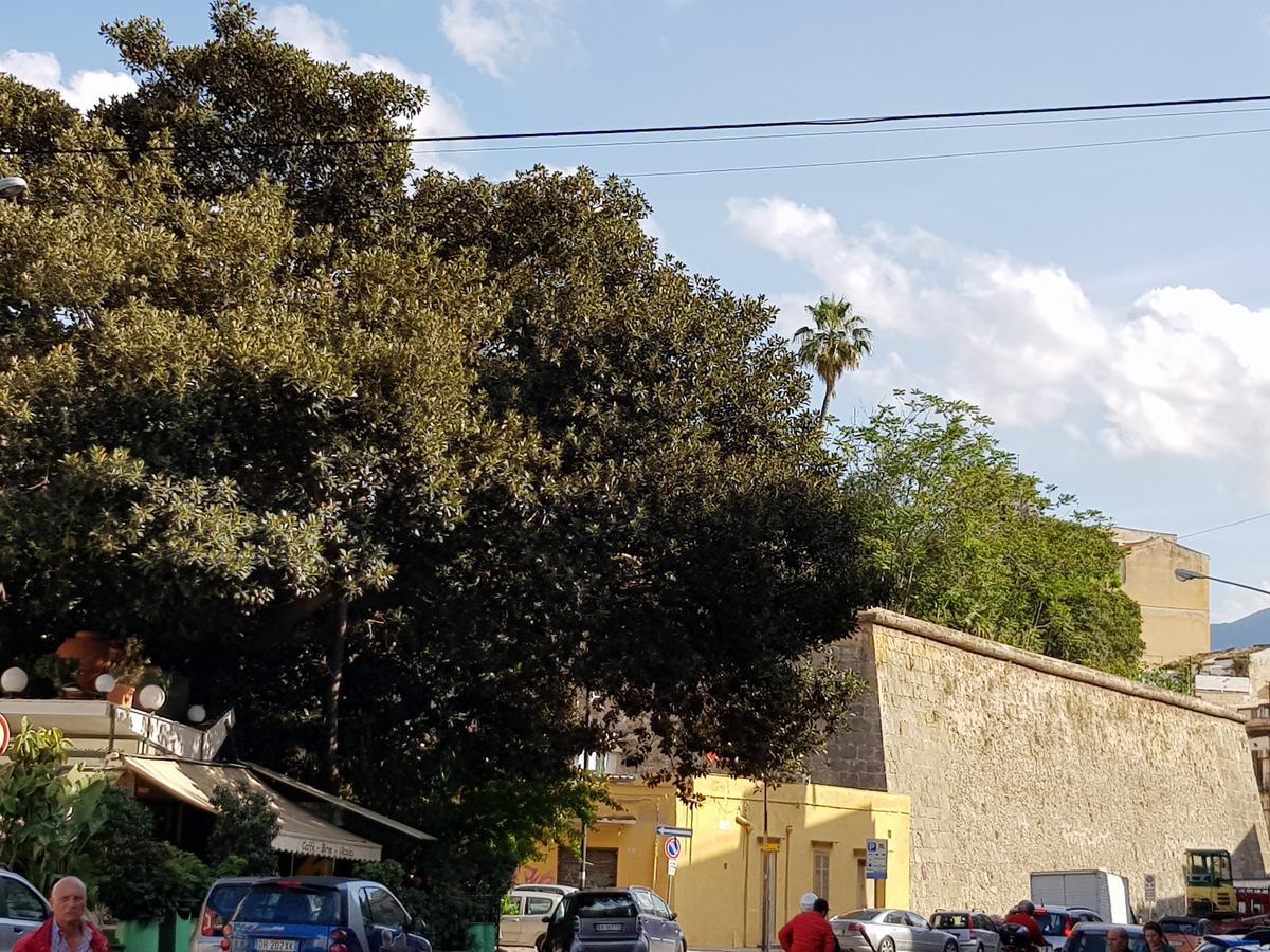 Porta Guccia Bed & Breakfast - Palermo, Palermo